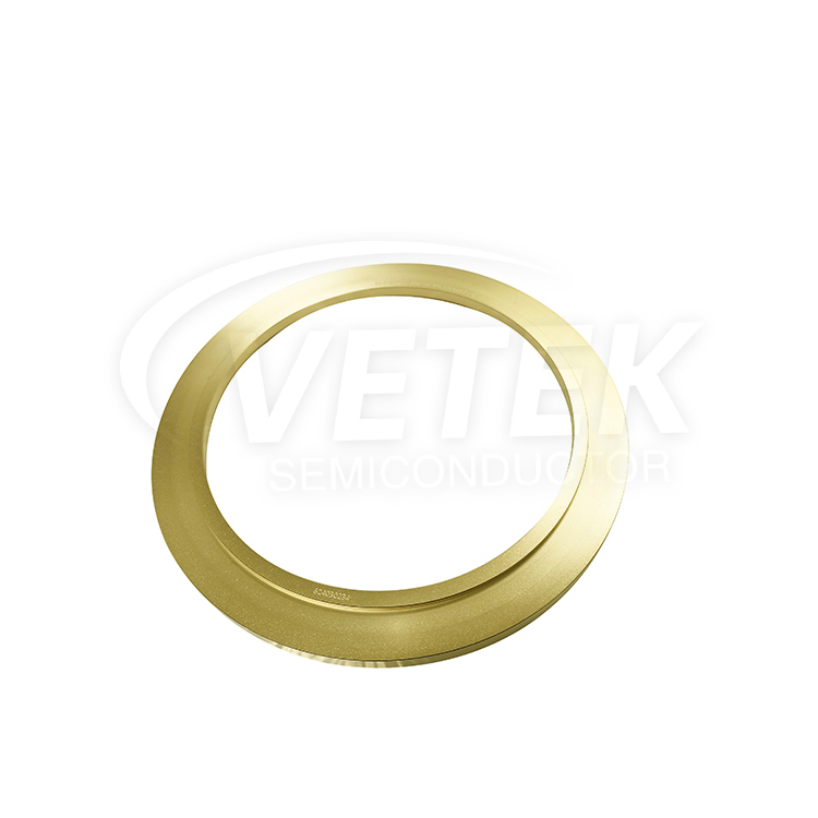 Anello di rivestimento CVD TAC