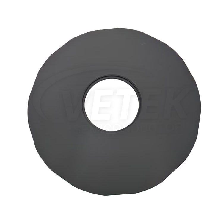 Supporto rivestito SIC per LPE PE2061S