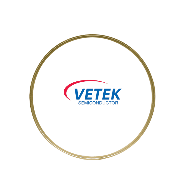 Anello di copertura del wafer di grafite rivestito in TaC